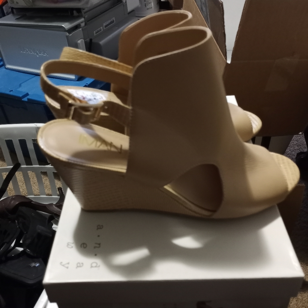 Shoed - Picture 4 of 4